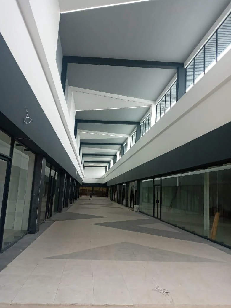 Professional Painting Project